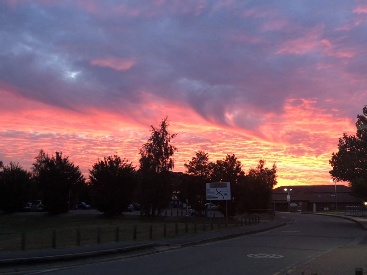 Naomi Warner tweet media