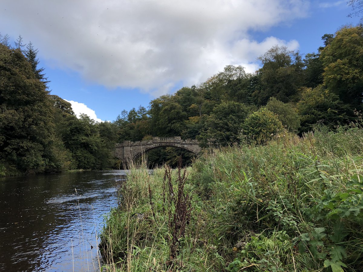 KinlochSusan's tweet photo. More Almondell photos #WednesdayVibes #fabwalk #sunshine #October #Autumnday https://t.co/Ef7IVBVVTp