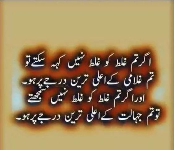 جاوید احمد شيخ tweet media