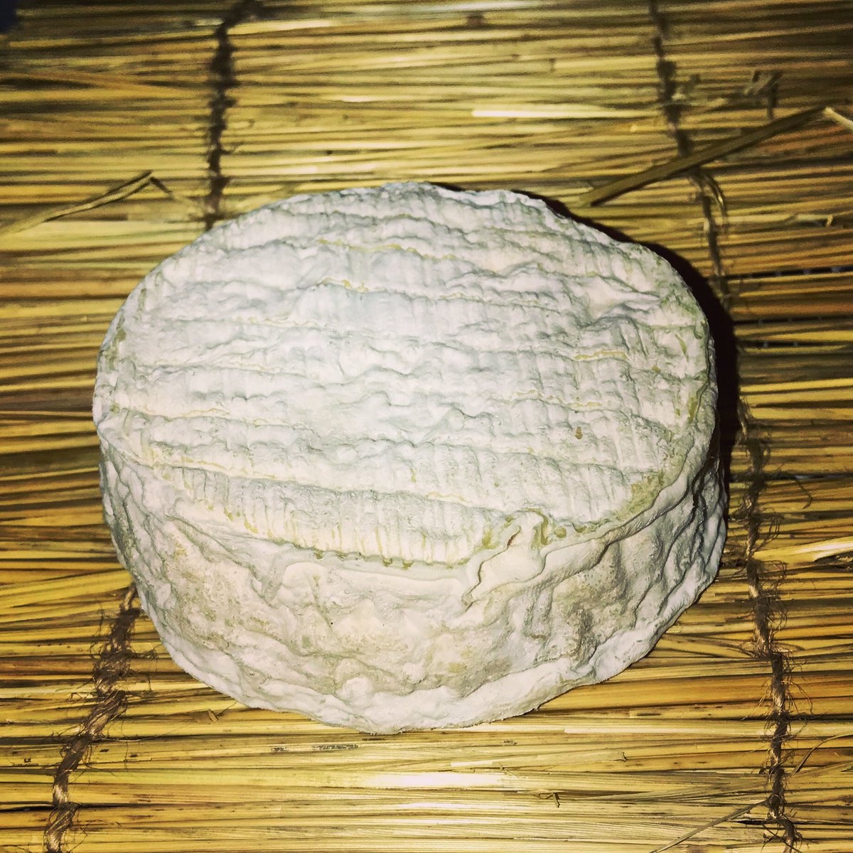 wellDone_quesos's tweet image. Nordûmani en su hábitat natural.
#wellDone #QueRed