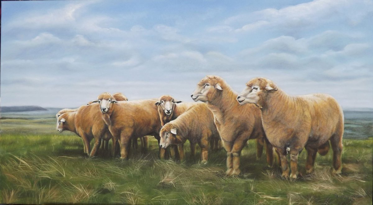 Borregos Corriedale (óleo sobre tela 50x90cm) de Eliana De Moura Bonini
#HuellasDeMiPais #MiercolesDeCorderos