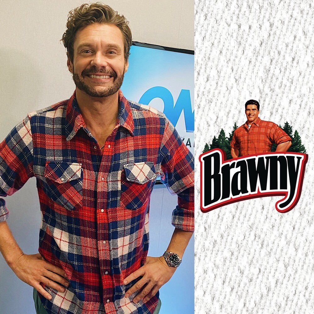 Brawny Paper Towels Costume