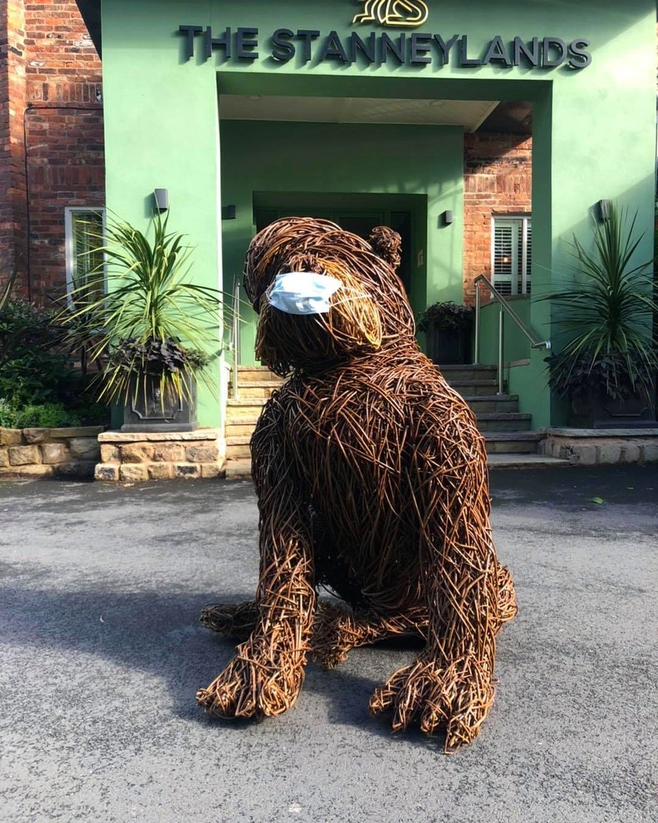 The Stanneylands tweet media