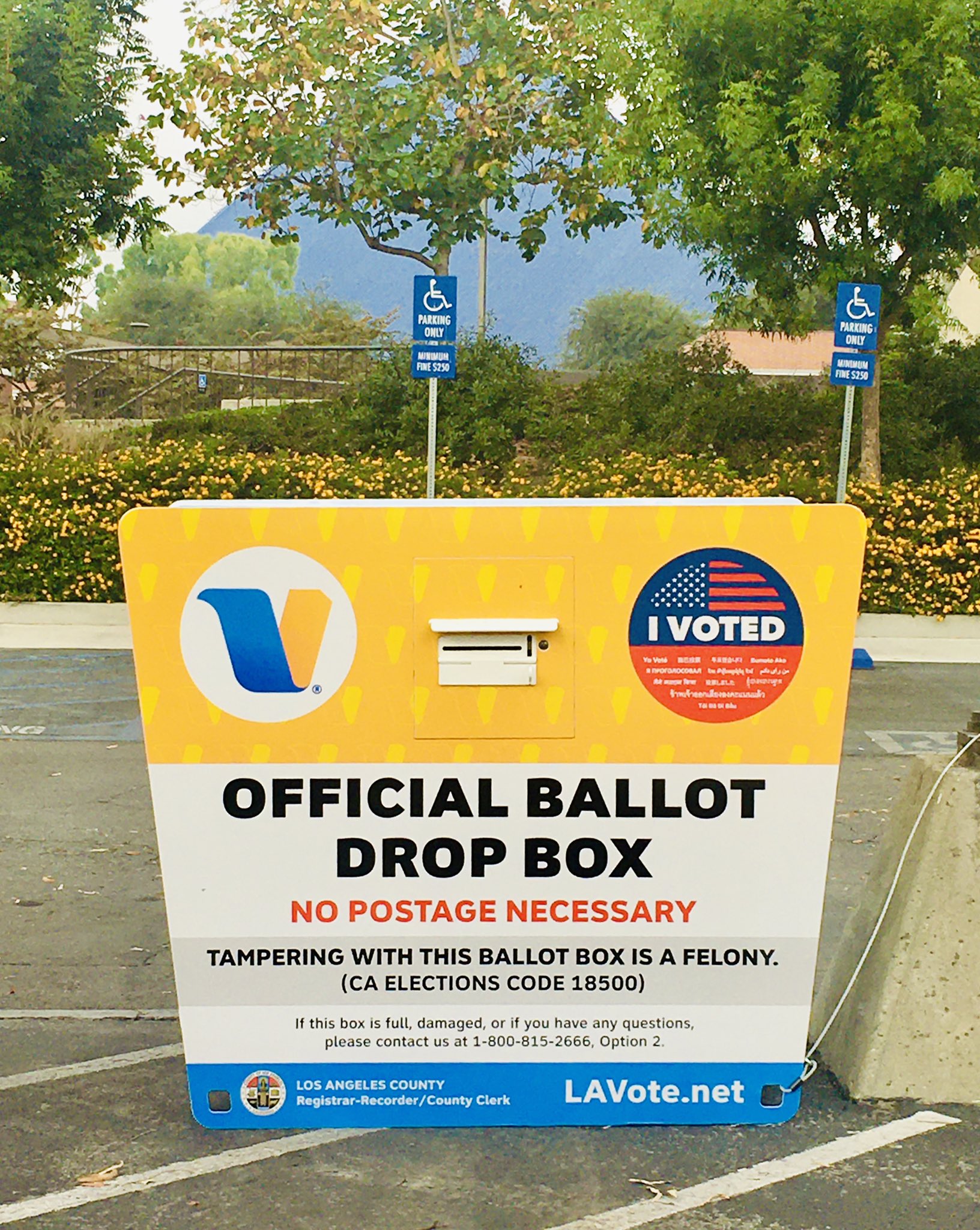 Diana Tang Dianactang Twitter