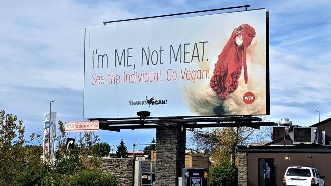 veganfuture's tweet photo. 'I'm ME, Not Meat' | See the individual. Go vegan. https://t.co/1TFN5nHAsa