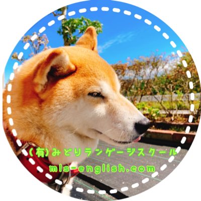 ট ইট র Midori Language School 新アイコンは 我が校の看板犬です So Cute 英会話 英語学習 柴犬 学習塾 ピアノ教室 ট ইট র Midori Language School 新アイコンは 我が校の看板犬です So Cute 英会話 英語学習 柴犬 学習塾 ピアノ教室