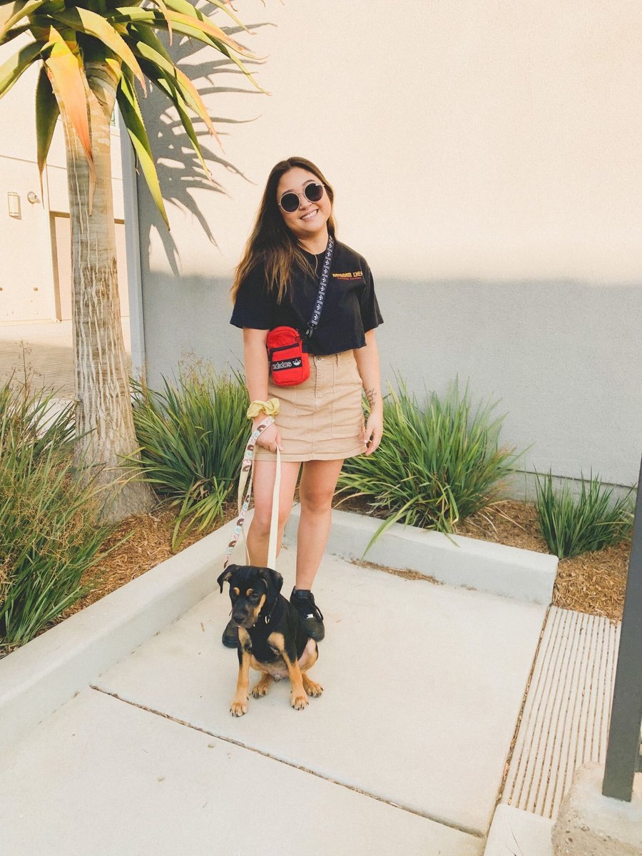 OptometrySD's tweet image. Round Sunnies + 1 Super Cute Doggo = Total Weekend Vibes  

Chase the sun in style.  🕶: SALT Optics 

#saltoptics #handcraftedinjapan #sandiegostyle