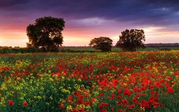 dorianaur's tweet photo. The whole #world is home for a #good #soul~Democritus
https://t.co/YLlS4Kj85c
https://t.co/FhMz8dM02m
#COVID19 #phobia #invest #mentalhealth #therapy #depression #SuicidePrevention #SuicideAwareness #anxiety #PTSD #stress #sleep #AddBrain_Inc #Psychiatry #inspire https://t.co/snxlRzDb5w