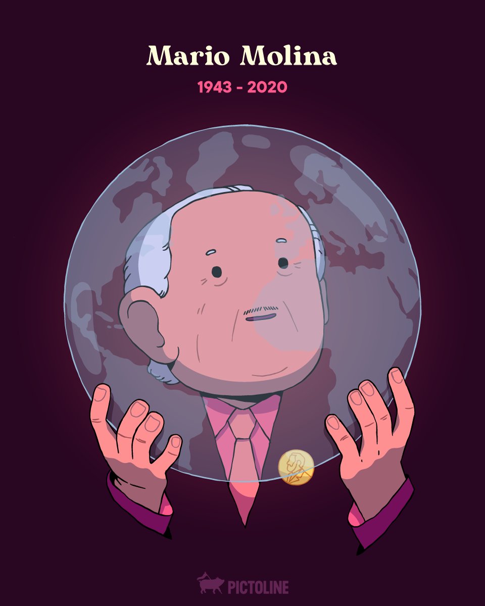 pictoline tweet media