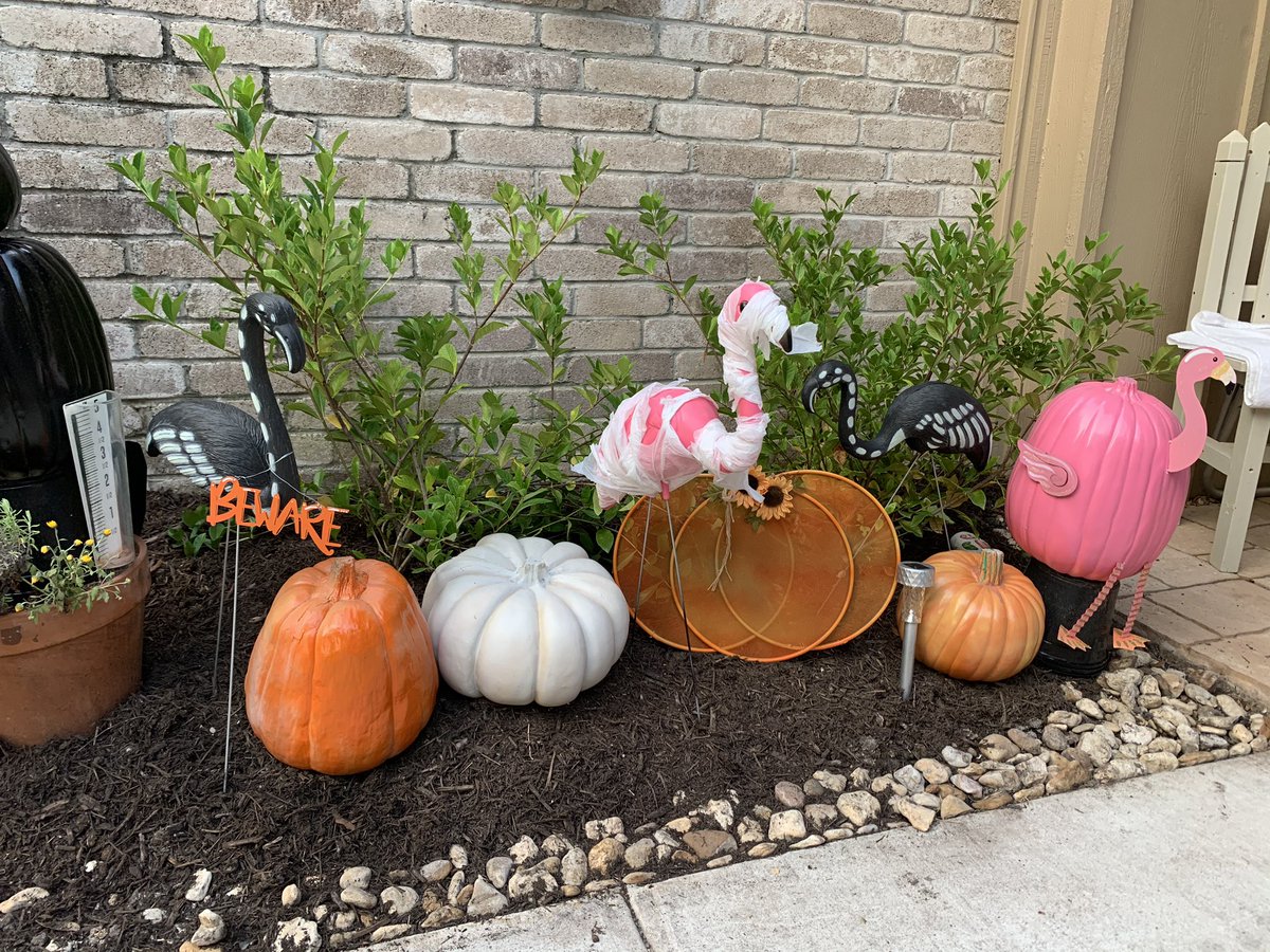 leecytx's tweet photo. #flamingosofinstagram #flamingohalloween #flamingodecoration #halloweenyarddecorations #flamingomummy #flamingoskeleton #flamingopumpkin #halloween2020 https://t.co/crNz1eQFbU