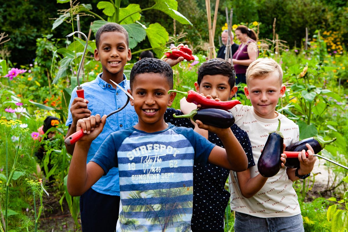 Een jaar lang groente en bloemen verbouwen in je eigen #schooltuintje in de stad, hoe ziet dat eruit? Voelen, ruiken, rekenen, proeven...Beleef het mee in de nieuwe korte bioscoopfilm 'De Schooltuin', vanaf vandaag in ruim 90 bioscopen:buff.ly/3iFtoIn.   #voedseleducatie