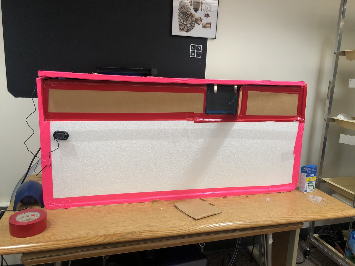 Mr.Burke tweet media