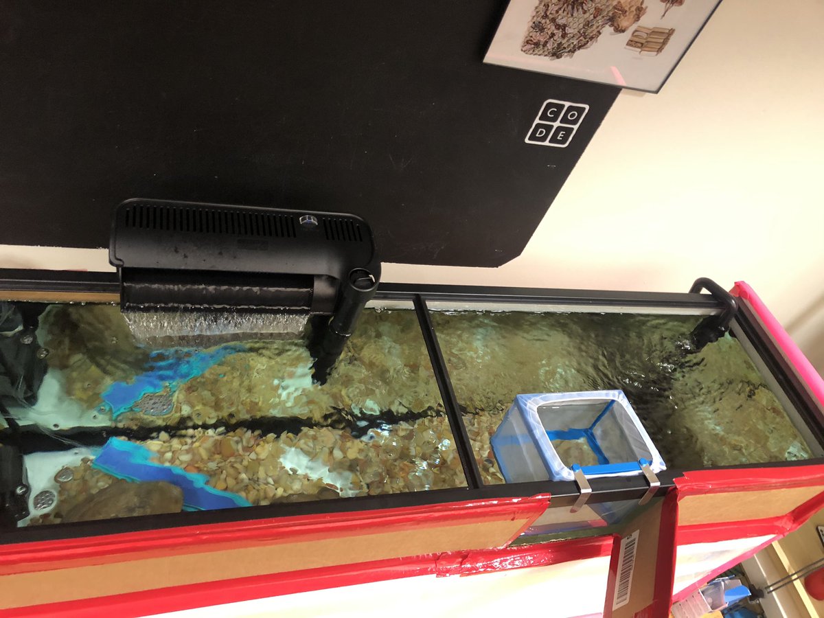 Mr.Burke tweet media