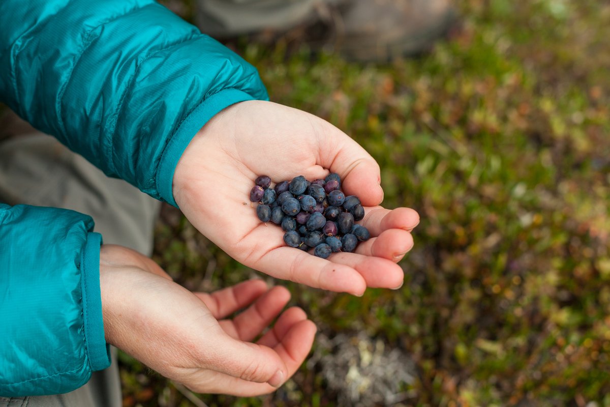 Banff National Park, Parks Canada tweet media