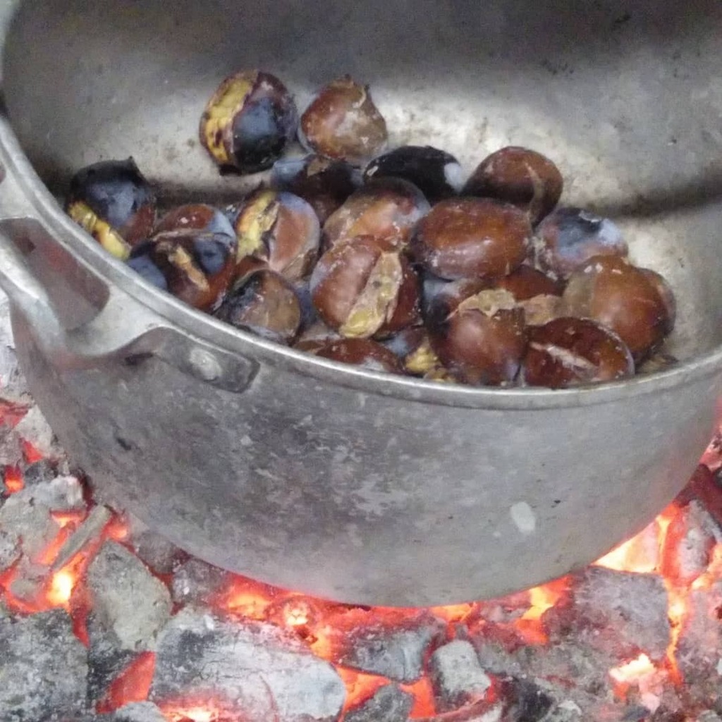cuca_79's tweet photo. Chestnuts 🌰 roasting on an open fire 🔥...
#chestnuts #castanhas #quenteseboas #outuno #autumntime #autumnvibes🍁 #picoftheday #photooftheday #photography https://t.co/L28xFUneKm https://t.co/JzOC8MGugk