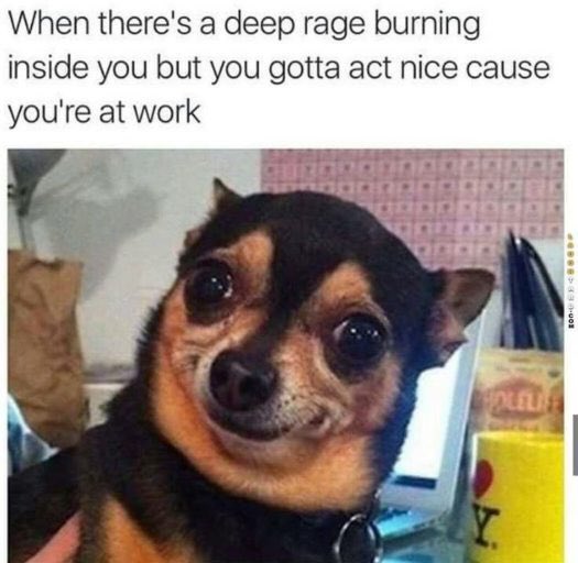 🤣🤣🤣🤣🤣