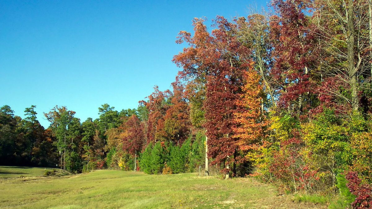 Plateau Land & Wildlife tweet media