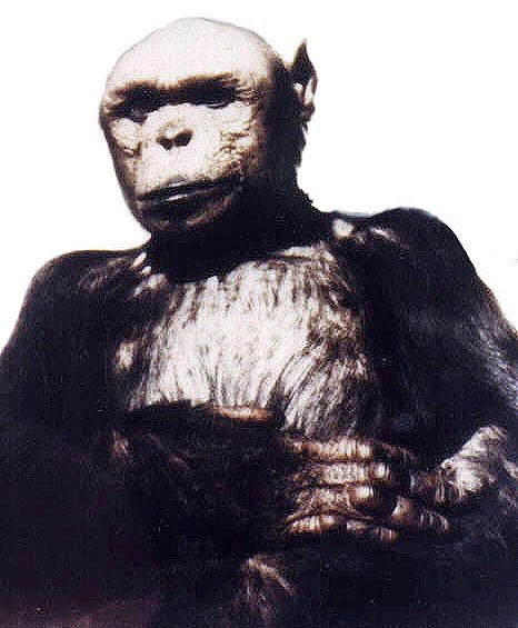 11. Oliver the “Humanzee” 8/10- famous for looking human - had a flat face & walked upright- they deadass thought he was half chimp half human until DNA test turns out he was just ugly- poured himself a brandy every night- kept trying to shag humans- i’m literally terrified