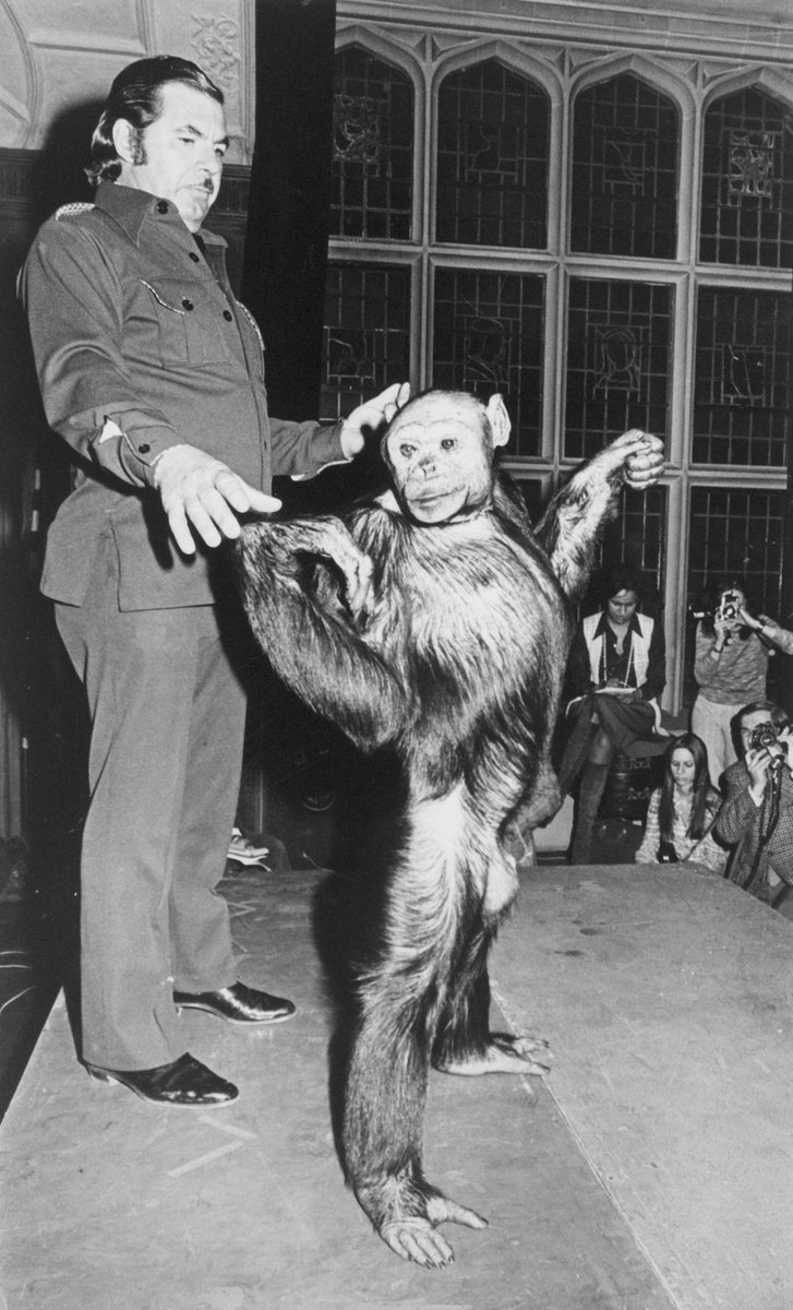 11. Oliver the “Humanzee” 8/10- famous for looking human - had a flat face & walked upright- they deadass thought he was half chimp half human until DNA test turns out he was just ugly- poured himself a brandy every night- kept trying to shag humans- i’m literally terrified