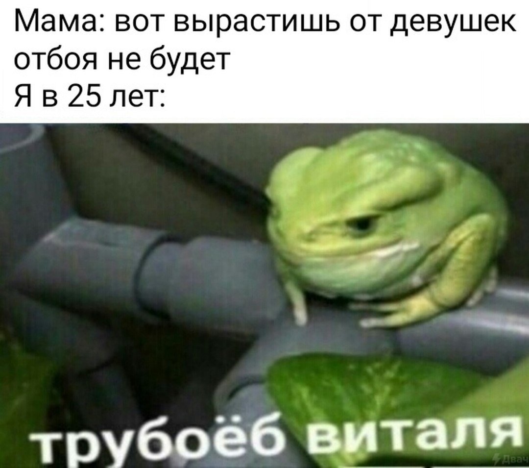 EjwLjZkWsAI8vpW?format=jpg&name=medium