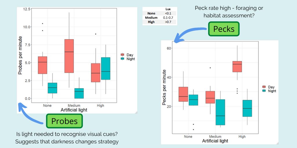 5 #ISTC20 #Sesh6 Use of probes also increases with light, with them used less at night, unless under high artificial light. Peck rates varied between sites during the day but not between sites at night.