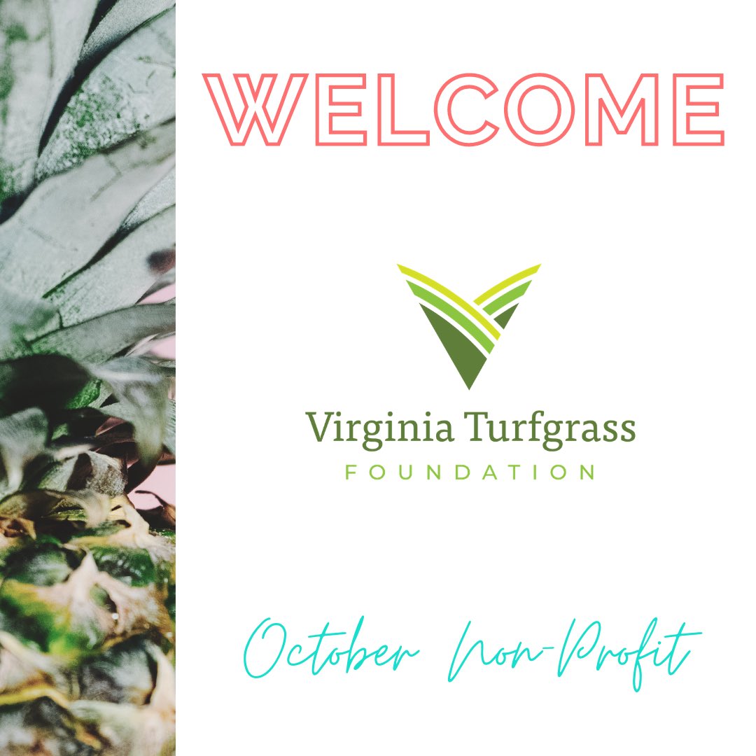 WelcomeBasket's tweet photo. Welcome to Virginia Turfgrass Foundation! They are our October Non-Profit Sponsor. They work to “collect and distribute funds for the innovative and essential research of turfgrass” and make an impact on the grass you see and use! Visit their website to learn how you can help! https://t.co/ZIJCUxVS3I