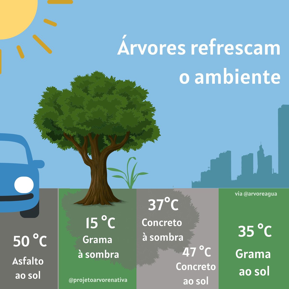 Plante árvores nativas! 🌳

#Árvores #Plantar #Botânica #Ecologia