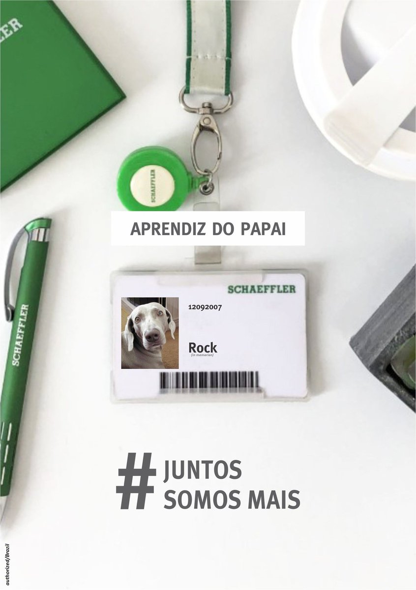 Weimaraner051's tweet image. #JuntosSomosMais #WeAreSchaeffler
@SchaefflerGroup 
#Repxpert 
#Weimaraner