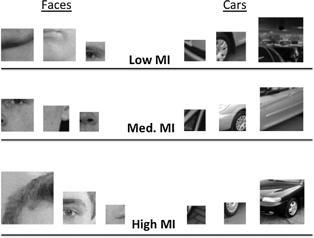 ffelisberti's tweet image. Children are sensitive to mutual information in intermediate-complexity face and non-face features. #face_recognition
jov.arvojournals.org/Article.aspx?a…