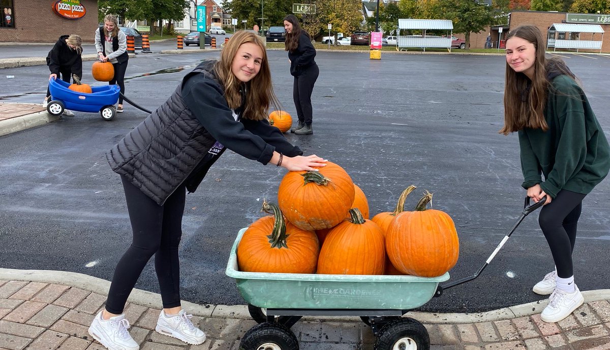 Manotick Village tweet media