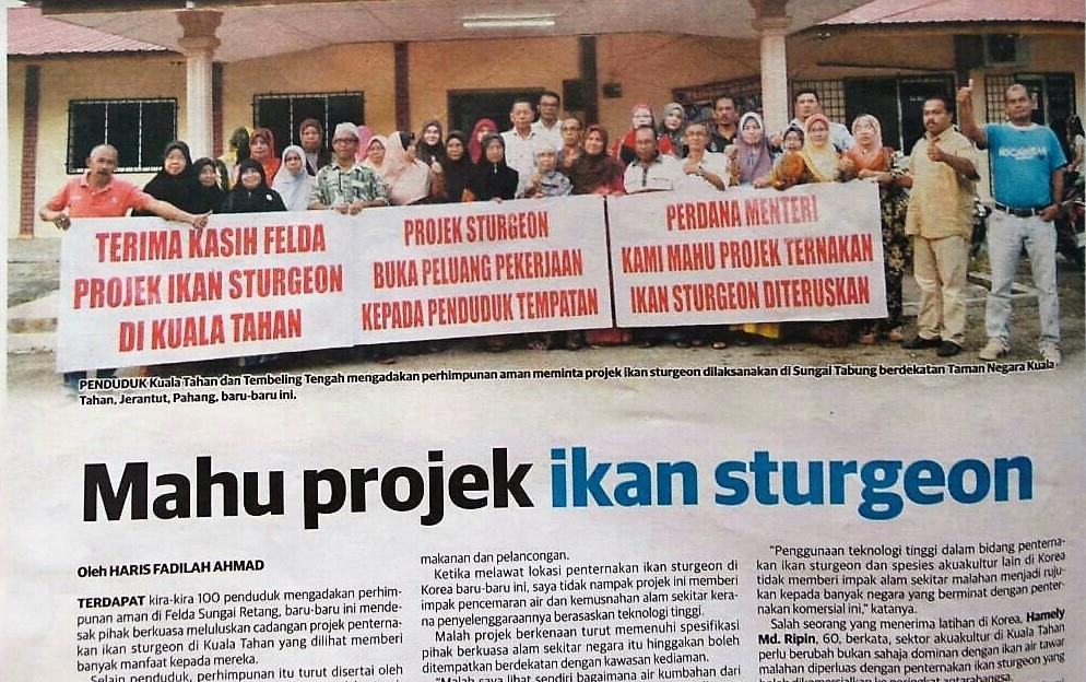 Fail Forensik Akaun: Projek FELDA Ikan Sturgeon Rugi RM47.6 jutaSeperti yg kita ketahui ikan sturgeon menghasil telur yg boleh dimakan sbg caviar. Caviar delicacy yg eksotik mahal harganya yg bisa mencecah 7,000 – 10,000 USD sekilogram Ini adalah thread, kronologi & ceritanya