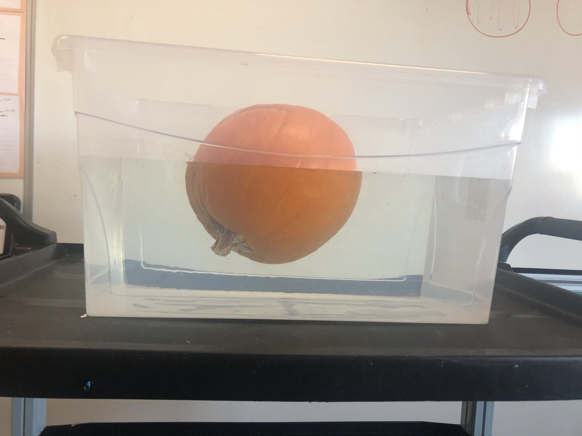 msEschmidt's tweet photo. Today we investigated Pete the Pumpkin! The grade ones measured, described and estimated. Tonight he will be carved so the kids can try the seeds!🎃🧡@WascanaPlains https://t.co/KNJScdiUp7