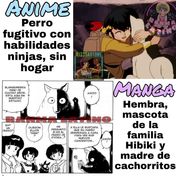 gonzaacunas's tweet photo. Blanquinegro manga vs anime #RanmaETC https://t.co/pIKAF19Had