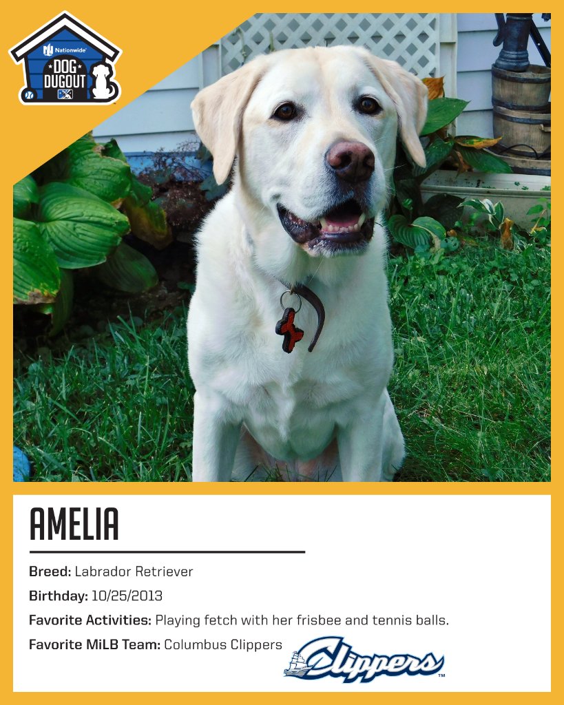 Nationwide Sports tweet media