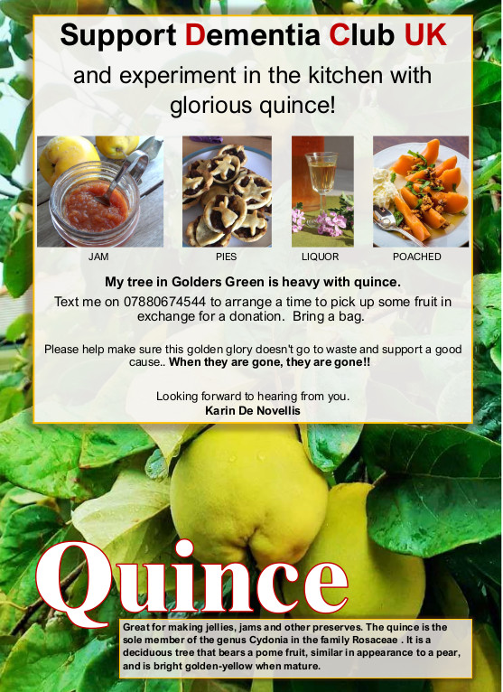 10/11th Oct quince will be available at Rea's Cafe in Child's Hill Park in exchange for a donation to Dementia Club UK. Karin says "Please help make sure this golden glory doesn't go to waste and support a good cause,  Remember to bring a bag. When they're gone, they're gone."
