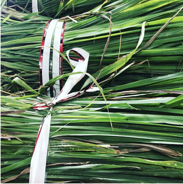 caribbeancure's tweet photo. Always natural, every time. We strive to get the best, most healthy ingredients for each and every tea tin, tea bag and ounce of tea that we proudly sell to the people of this region, Japan, the UK and parts of Europe. https://t.co/DQJLTqxVdK