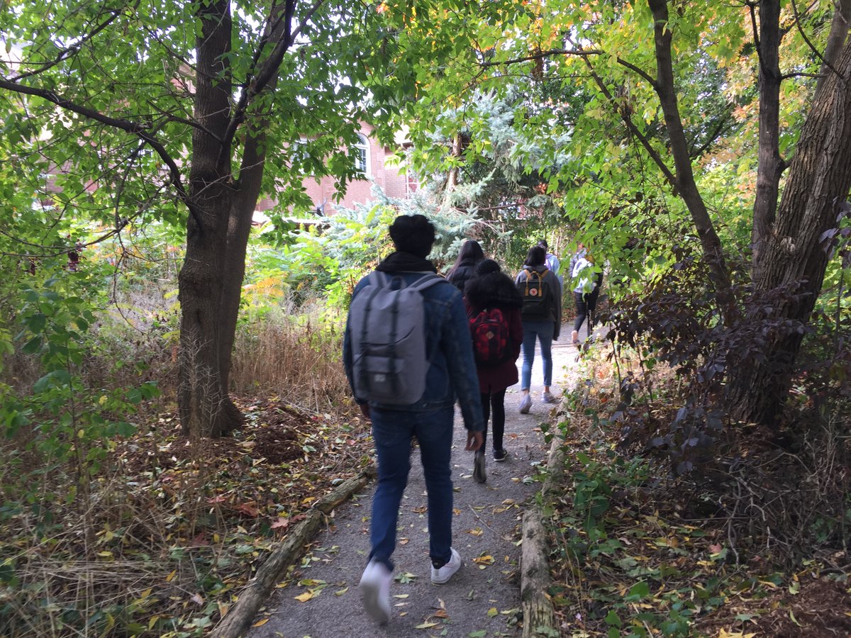 MMHS students are marking the 40th anniversary of the Terry Fox Run by taking walks for mental health and fresh air this week.  Students enjoy connecting to nature in our arboretum as they remember Terry's accomplishments.