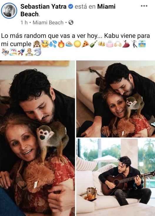 andreanimalidad's tweet photo. Mal por esto, @SebastianYatra Los animales silvestres deben estar en su hábitat. Ojalá le permitas a ese miquito recobrar la libertad que nadie debió quitarle. En Miami debe haber alguna entidad ambiental que lo reciba y rehabilite #TuCasaNoEsSuCasa https://t.co/agTGZKikiD