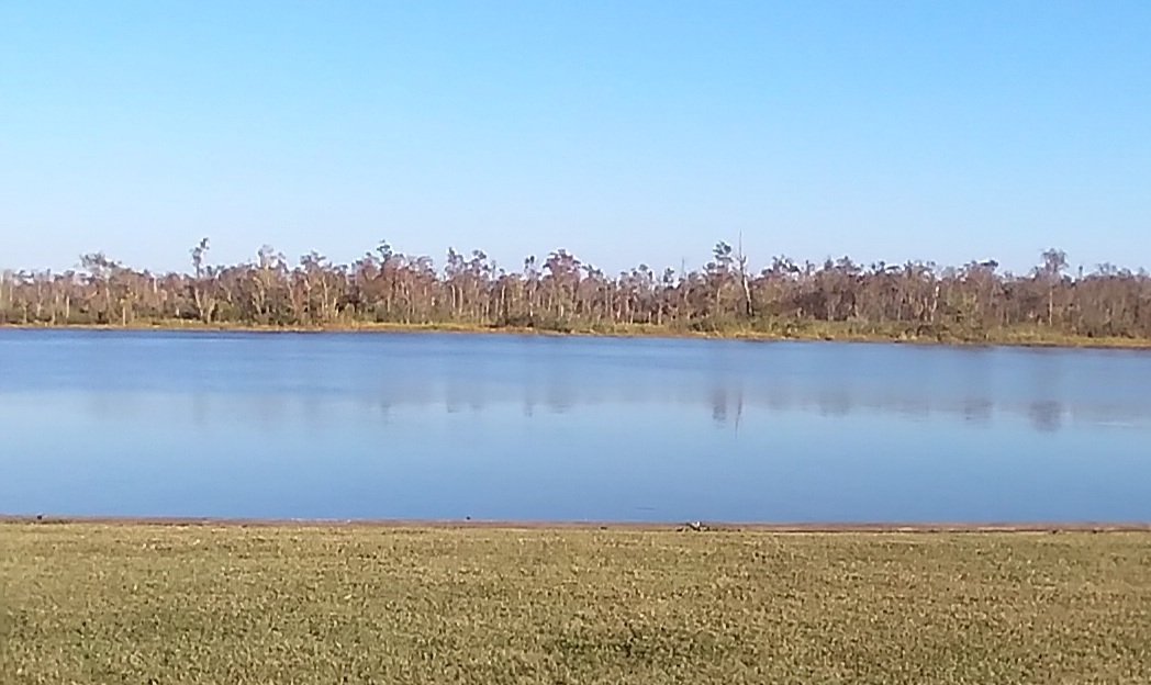 DeniseDavis60's tweet photo. No filters. Just blue water and blue sky. #thislifeilive https://t.co/bdl2abEU6A