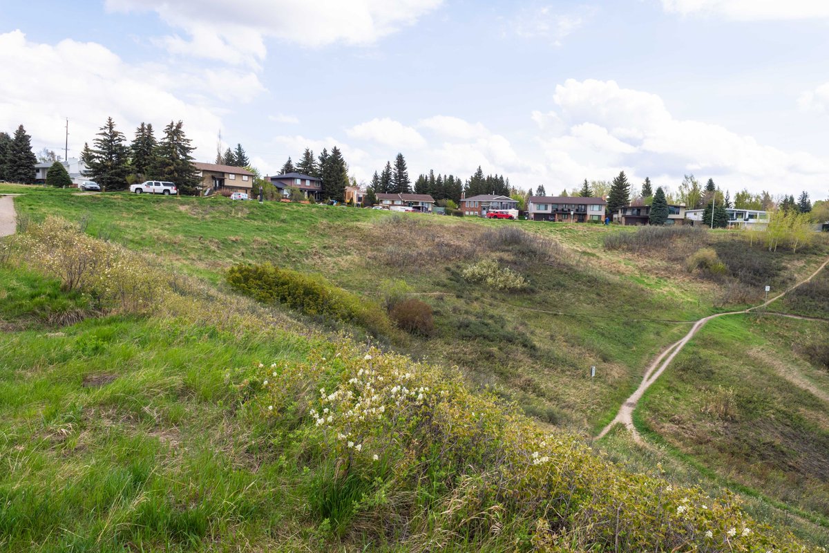 Visit Bowmont Park and see if you can find all six signs. And for more adventures and unique experiences, head to a park in your community. Calgary parks make life better every day.We ask that you contact us at 311 for any future ideas on park signage or installations.