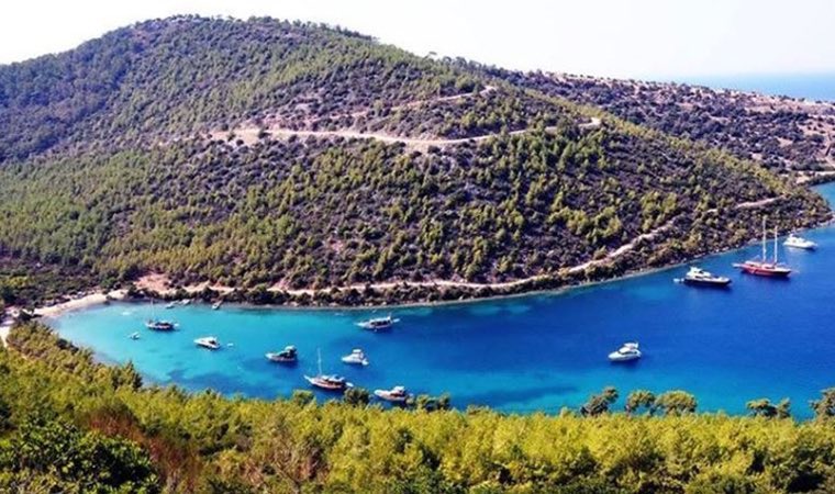 YelizzKoray's tweet image. Bakmaya kıyamadığınız Bodrum’daki bu arazi, 3. derece sit alanı ama Cumhurbaşkanlığı Kararı ile yapılaşmaya açılmış. 
Ülkede güzel bir şey bırakmamaya yemin etmişler sanki!