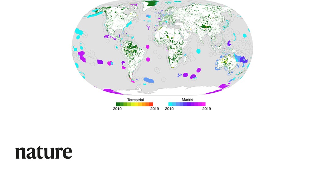 NaturePortfolio's tweet photo. The long-term success of area-based conservation after 2020 will depend on governments securing adequate funding and prioritizing biodiversity in land, water and sea management, according to a Review in Nature. https://t.co/DRu14JMfM4 https://t.co/Z0DuOAFgmd