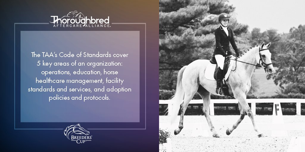 Breeders' Cup (@breederscup) on Twitter photo The <a href="/TBaftercare/">Thoroughbred Aftercare Alliance</a> Code of Standards and accreditation process has been reviewed and approved by the American Humane Association and the American Association of Equine Practitioners. 🤝 The <a href="/TBaftercare/">Thoroughbred Aftercare Alliance</a> Code of Standards and accreditation process has been reviewed and approved by the American Humane Association and the American Association of Equine Practitioners. 🤝