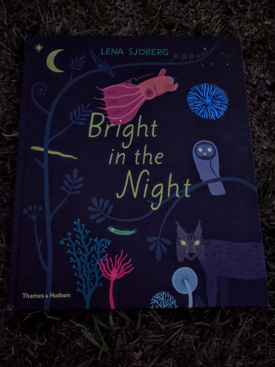As darkness drops a bit earlier each night, it's hard not to think about nocturnal life. <a href="/lenaSjoberg/">Lena Sjöberg</a>'s Bright in the Night looks at the scores of plants, animals &amp; other life that can produce illumination in the dark. On Amazon: amzn.to/3iDnFmb #naturebooks