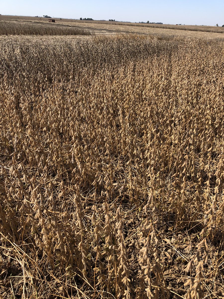 Scott Gard tweet media