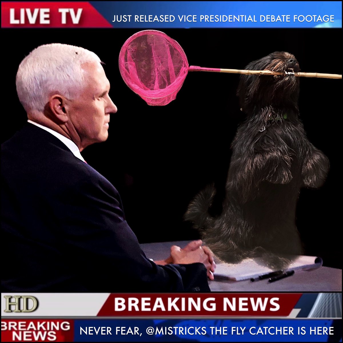 Shut up man, I’m trying to catch the #pencefly 😅 #PenceFly2020 #pencesfly #flyonmikepence #VPDebate #DebateNight #VPDebates #flygate #debate #Debate2020