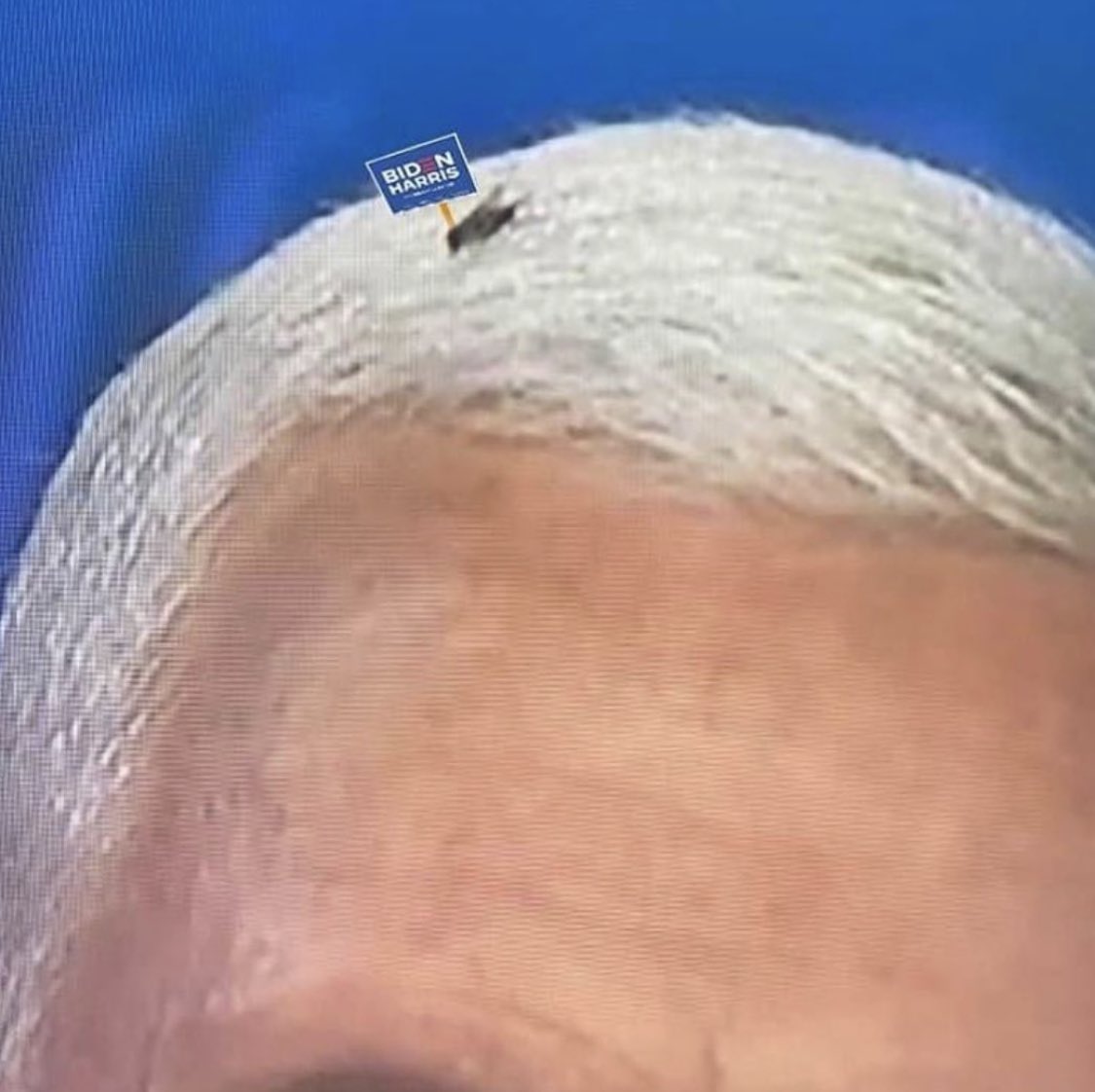 anniemal's tweet image. you know what, if you look closer-