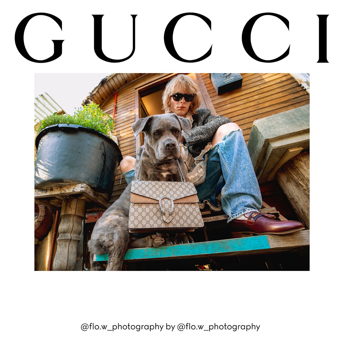 gucci_jp's tweet photo. #GucciTheRitual 広告キャンペーンは筋書きのないリアルを捉え、自由をたたえます。#FlorianW によるセルフポートレートには、古代ギリシャの神ディオニュソスをイメージし、#AlessandroMichele がデザインした〔ディオニュソス〕 #GucciDionysus バッグが登場。
https://t.co/9Jyha5I688 https://t.co/5ZmfUuzG97