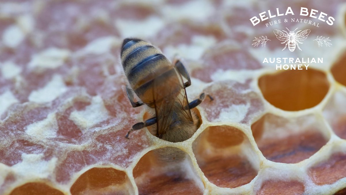 Bella Bees Honey tweet media