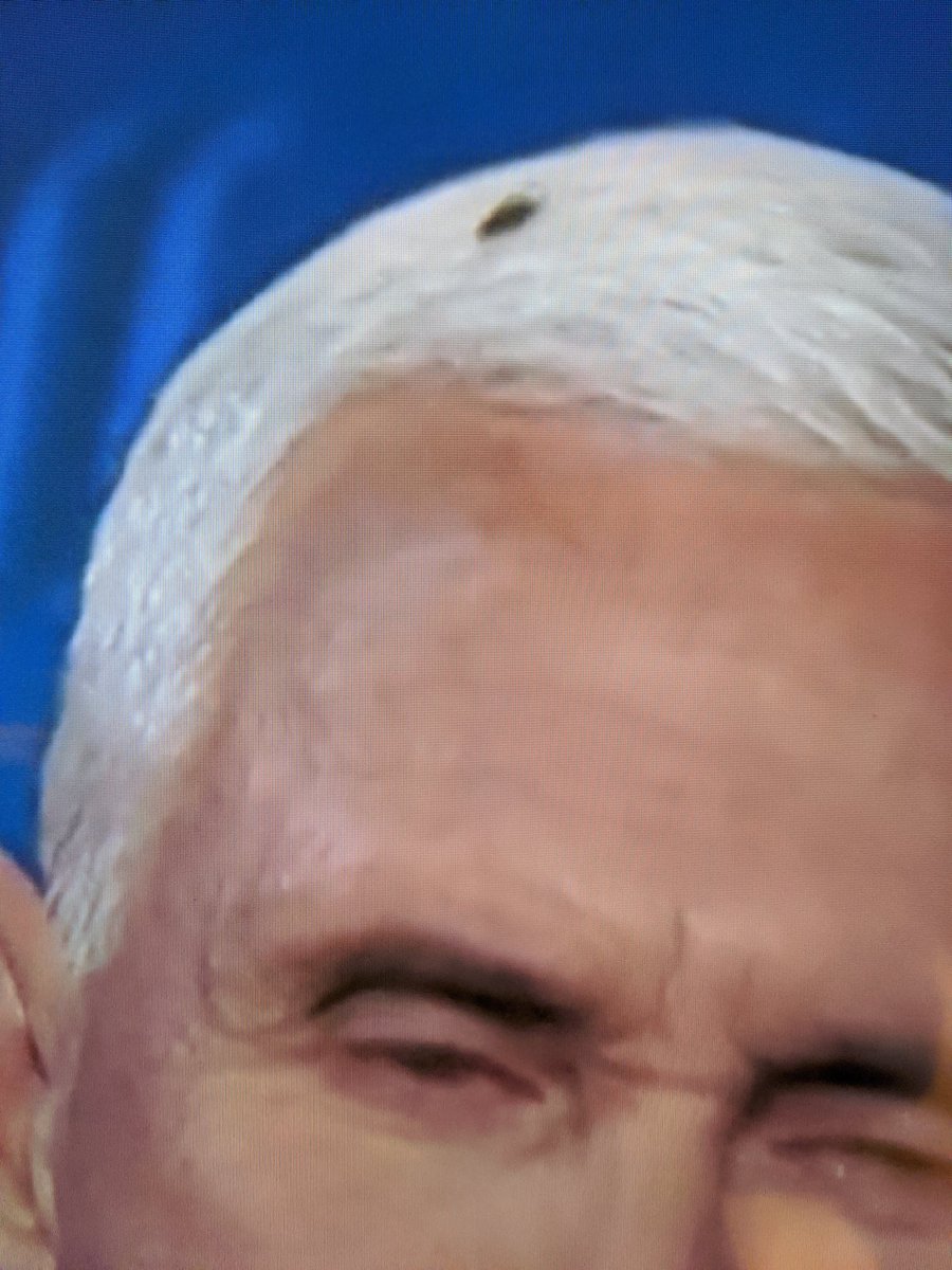 MartinRFernand2's tweet image. I just can't...😂😂😂😂